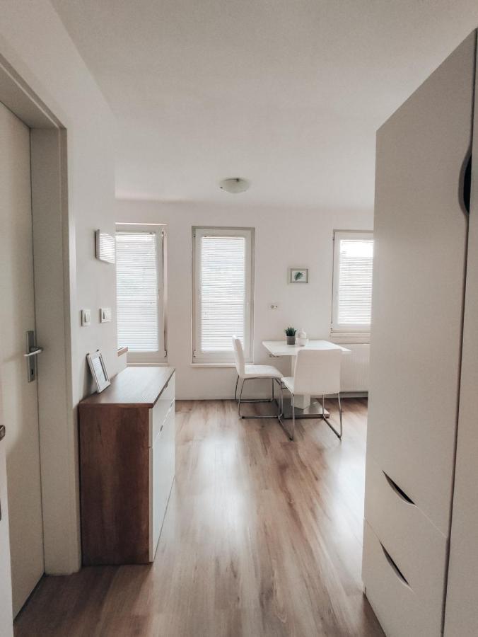 לובליאנה Studio Apartment Sanya מראה חיצוני תמונה