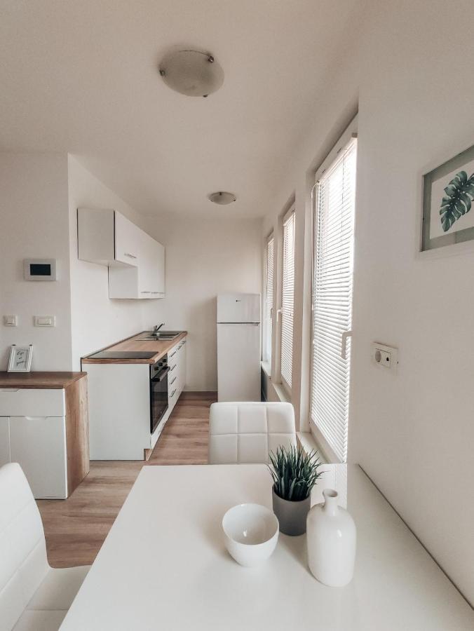 לובליאנה Studio Apartment Sanya מראה חיצוני תמונה